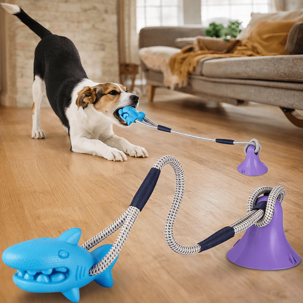 Interactive Chew &amp; Treat Suction Toy
